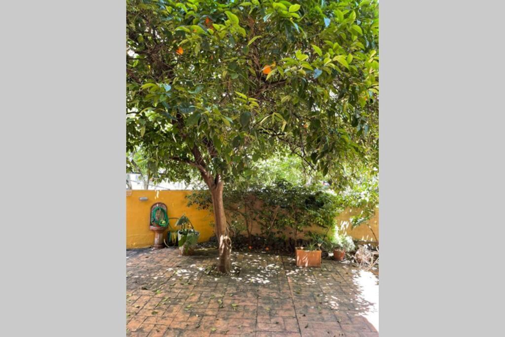 Studio Stay White Room Kalamata Exterior photo